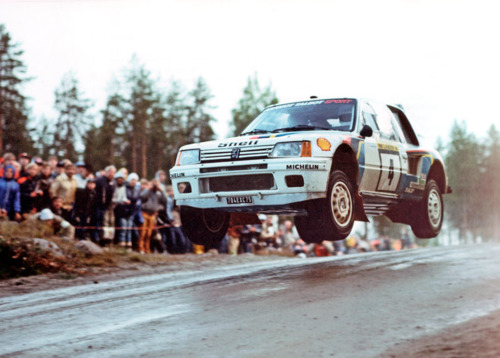 Peugeot 205 11 winner