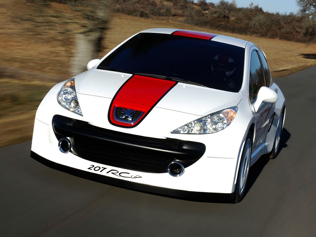 Peugeot 207 Rcup