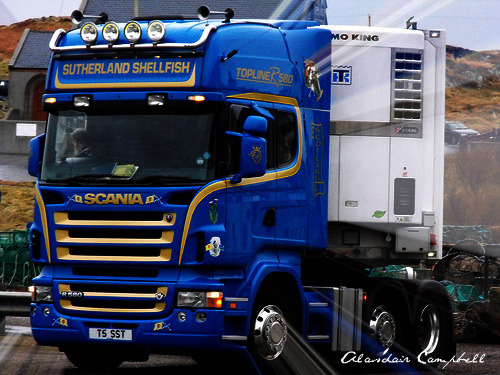 Scania R580 V8