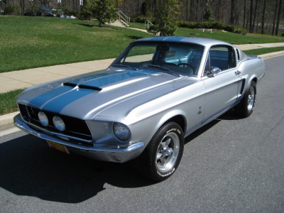 Shelby GT350 fastback